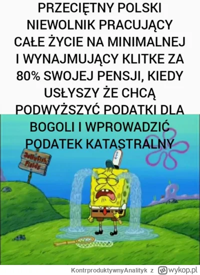 KontrproduktywnyAnalityk - Syndrom sztokholmski Polaków jest bezkresny


#januszebizn...