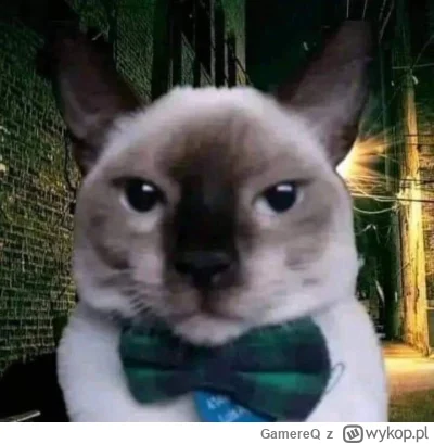 GamereQ - moim zdaniem pycha (kebab na gastro jest pycha)