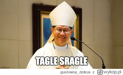 gustowny_dzikus - #papiez