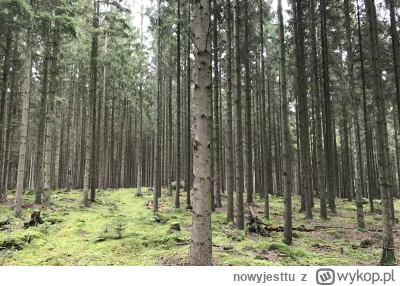 n.....u - Las Las Las