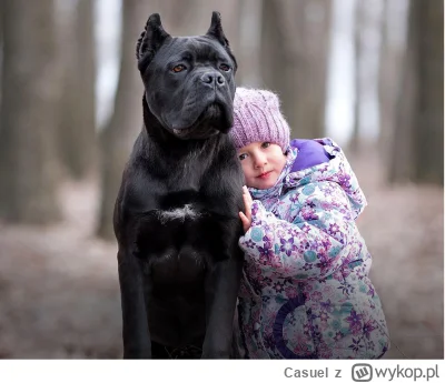 Casuel - Kolejny dzien, kolejny dowód psiej lojalności. Dopuścił ludzi w okolice dopi...