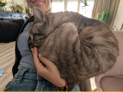 labubu_content - #psiarze a kto to spij spokojnie po odpeleniu machiny? xD