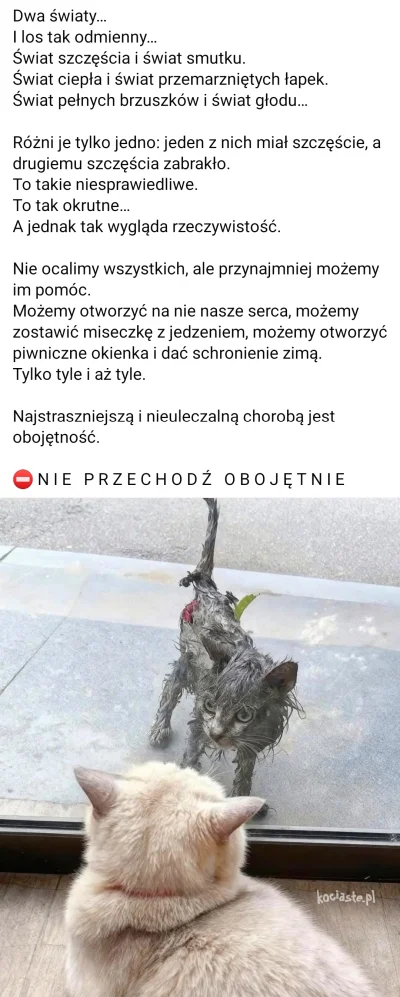 Timer_555 - #przegryw #koty #kotki

trukel vs oski