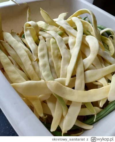 okretowy_sanitariat - @europa 
Jak się raz zacznie to wchodzi w krew i człowiek nie m...