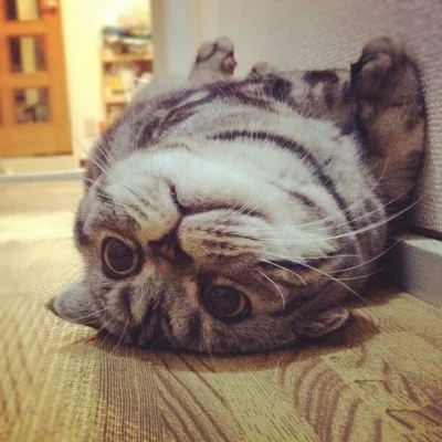 akaisterne - Musze mniej myslec i wiecej robic, ale nie wiem jak. Gdy tylko zaczne an...