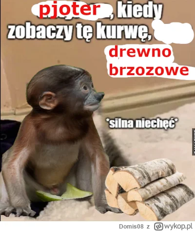 Domis08 - @Corvus_Frugilagus