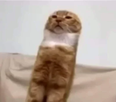 Timer_555 - #przegryw