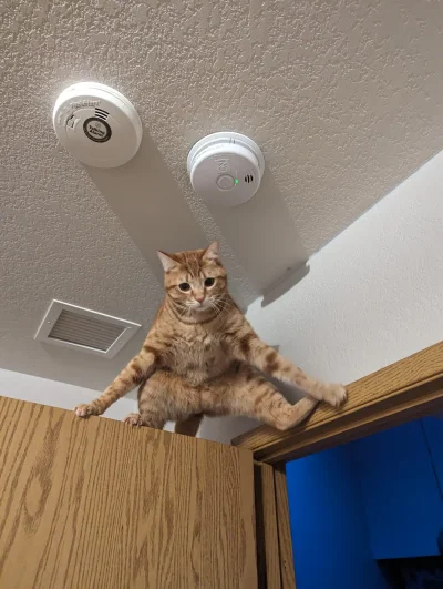 dywergent - on mi mowi - juz sie nie oplaca ich zakladac, ja sie z tym zgadzam, ja na...