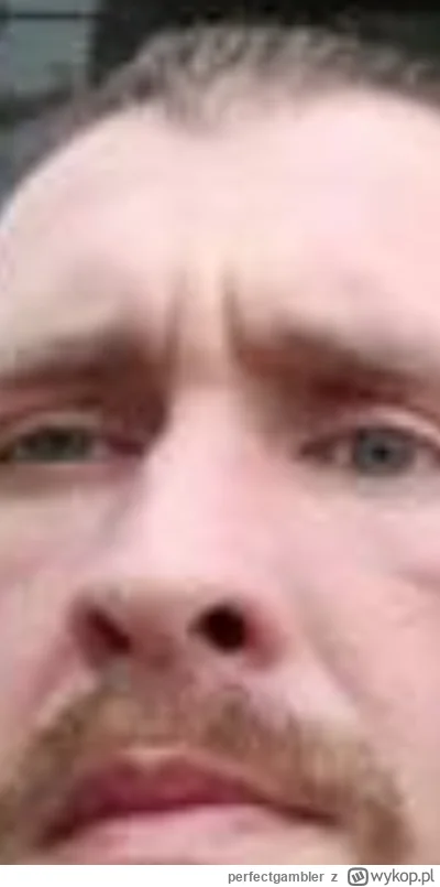 perfectgambler - @Exit25: efekt za 93zl taki