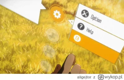 aligejtor - @Hellicon: