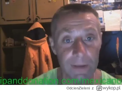 OdcienZieleni - #kononowicz ależ to była forma, ta sceneria, pocztówki, grzyb, legend...