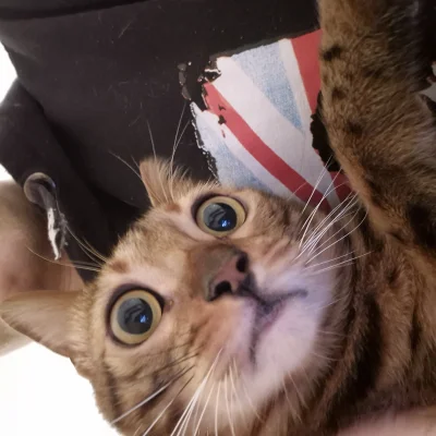 Lujdziarski - @Lujdziarski koniec psot ( ͡º ͜ʖ͡º)