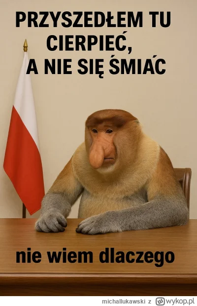 michallukawski - #konkursnanajbardziejgownianymemznosaczem