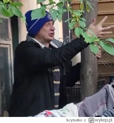 Scybulko - DRZEWA DAWAJ

#kononowicz #patostreamy