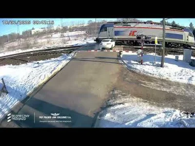 DzikWesolek - I tak nie przebił tego asa co się mu szyb nie chciało drapać