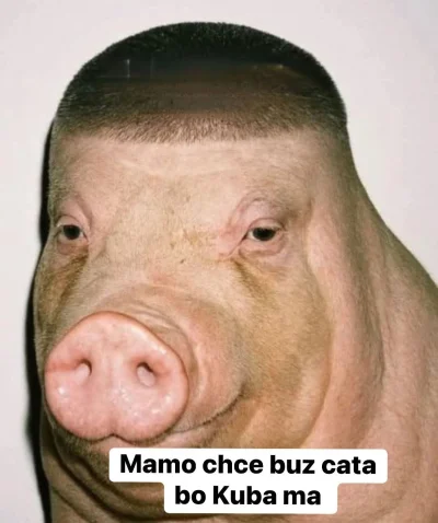 Cechini_Mistrz - Kolejny ban na discordzie u sabala, gumis zapłacił żeby mnie zbanowa...