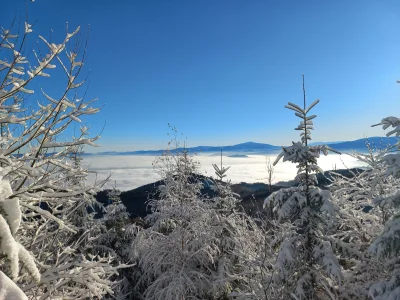 WR9100 - @kiedyswymyslelepszylogin: