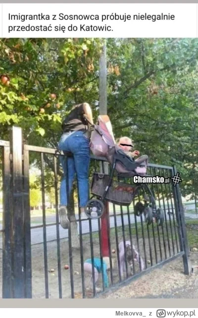 Melkovva_ - Typie coś ty wrzucił mi na discordzie xD