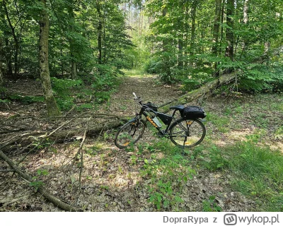 DopraRypa - 362 768 + 162 = 362 930

W końcu udało się trochę kwadratów pozbierać.

T...