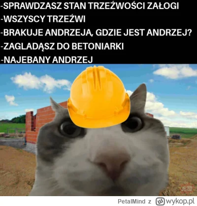 PetalMind - @youngP: