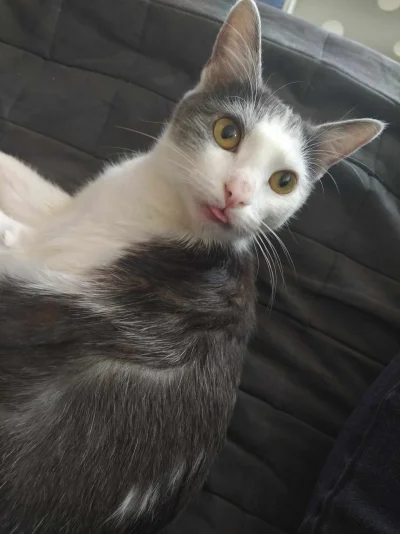 luciditygone - @ItsyBitsyPajonk dobrze, ostatni