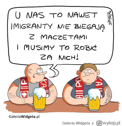 Galeria-Widgeta - Rys. Widget

#imigranci #kibole #maczeta #terroryzm #migranci #migr...