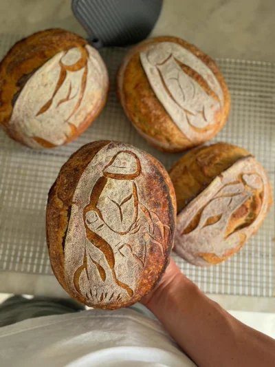 Borealny - #teczowepaski #bojowkapiekarska