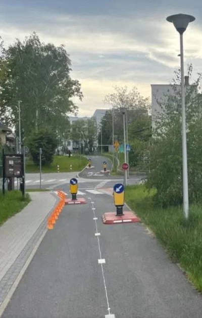 dybligliniaczek - Znak STOP to za mało, trzeba jeszcze zlikwidować jeden pas.
Zielona...