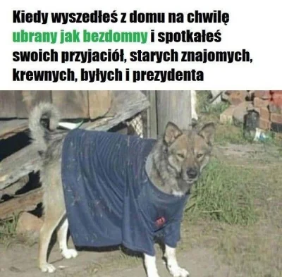 wscieklizna_irl