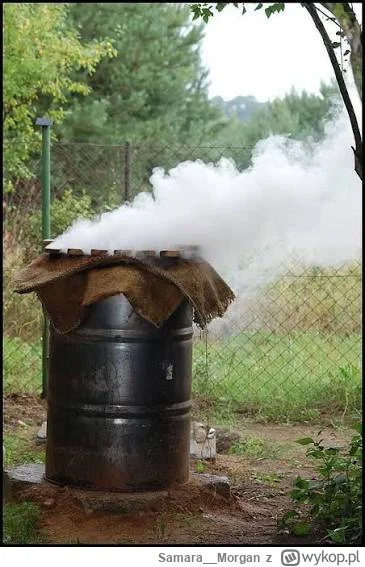 Samara__Morgan - @zukennuken: