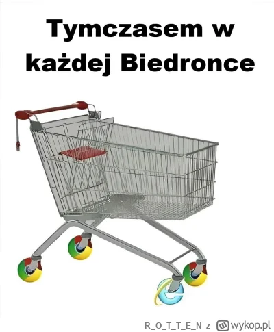 ROTTE_N - #biedronka