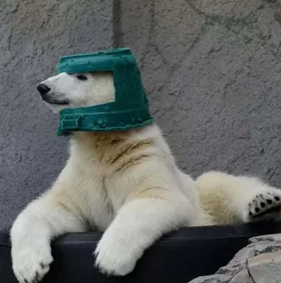 krystiano_ps3 - ciekawe co tam na mirko
#przegryw