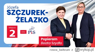 rosea_balteum - @Fandolores Mnie zawsze rozwala Szczurek-Żelazko ilekroć je widzę XD