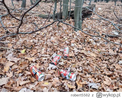 robert5502 - Odchody po leśnym ścierwie. Japie.. nawet kilku puszek nie chciało się z...