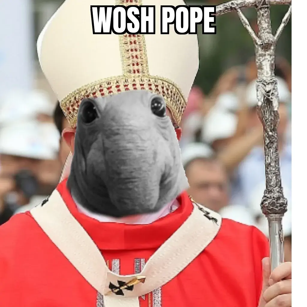 wfyokyga - @LeoXIV to js