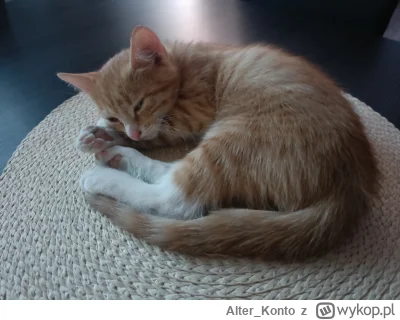 Alter_Konto - @nocny-mirek