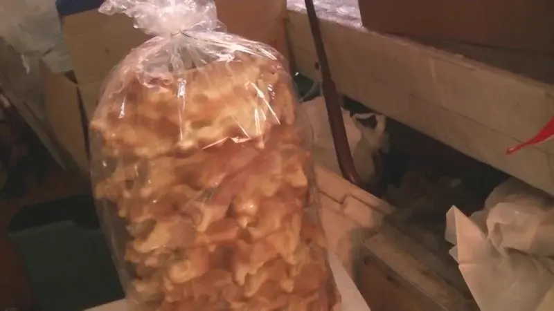 Biuakke - Marcin z Augustowa z swoją żoną i córką spaniałą kobietą. 
#kononowicz