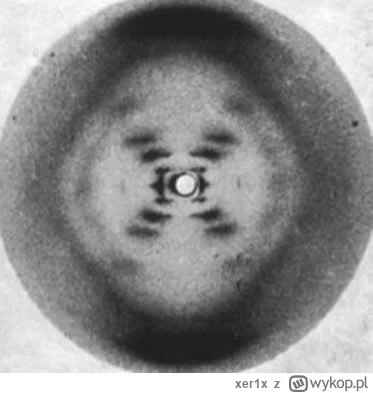 xer1x - "To, co jest prawdziwe dla E. coli, jest prawdziwe dla słonia" ~ J. Monod, pa...