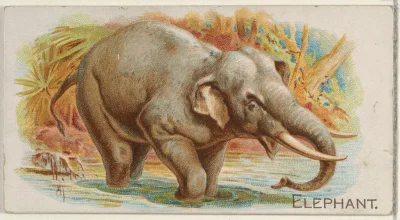 Loskamilos1 - Numer 35 to klasyczny słonik.

#necrobook #slonie