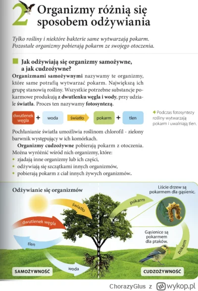 ChorazyGlus - >95% ludzi tego nie rozumie

@osetnik: Nie mierz innych swoją miarą. 

...