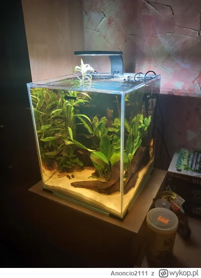 Anoncio2111 - Czy rybom wolno plusa?
SPOILER