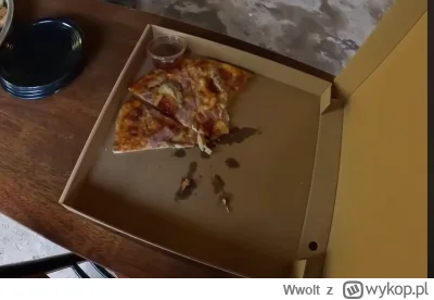 Wwolt - #raportzpanstwasrodka Tyle czasu mieszka w Azji a nie wie że wielka pizza to ...