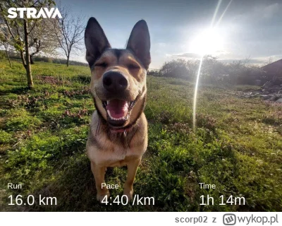 scorp02 - 163 275,01 - 16,01 = 163 259,00

Poruszałem nogami. 
A potem pobawiłem się...