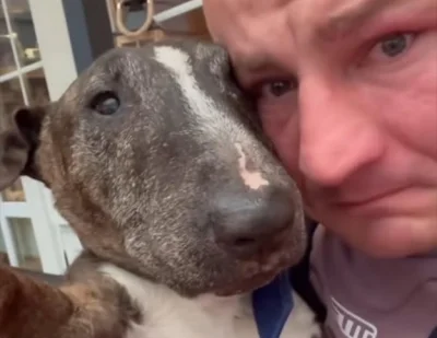 XeNinja - Taki widok złamie największego chłopa. RIP Cycu.
#psiarze #psy #pies #zwier...