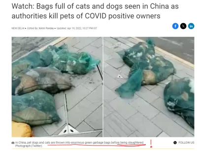 wladyslaw-konstantynowicz - @Just_Piotrek: W naszym kovidołku to (dzięki zaściankowem...