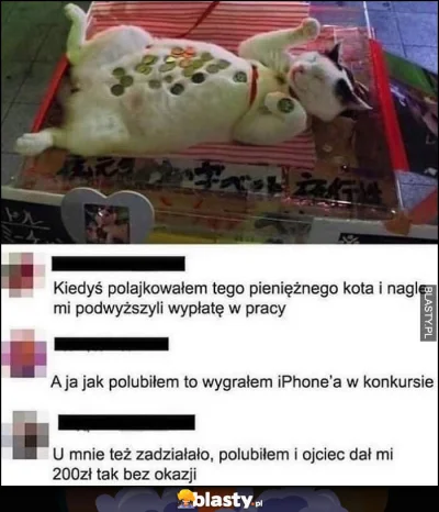 Vegasik69 - @Zarzutkkake: