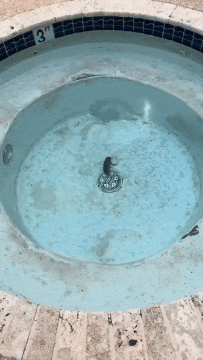 wfyokyga - Wir śmierdzielu