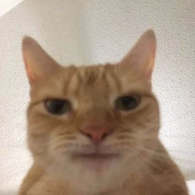 dywergent - kupilem sobie instrument ostatnio, myslalem ze z miesiac mi zajmie zeby c...