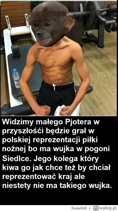 Rade86B - ( ͡° ͜ʖ ͡°)