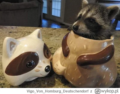 VigoVonHomburg_Deutschendorf - Szop w szopie
#szopeknadzis